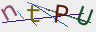 Click refresh